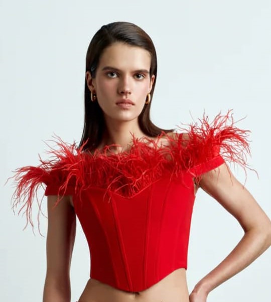Scarlet Feather Trim Corset Top