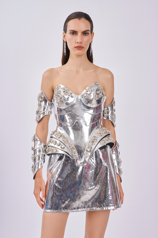 Silver Warrior Corset